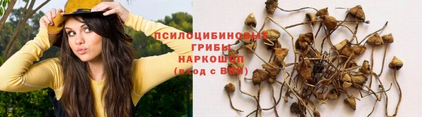 MESCALINE Ельня