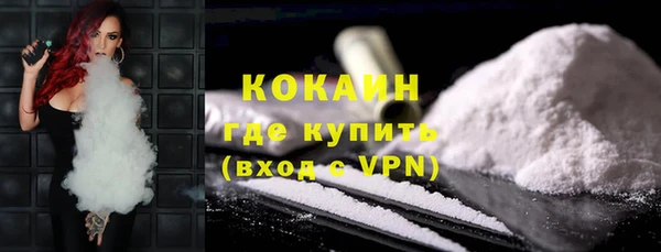 прущие грибы Елабуга