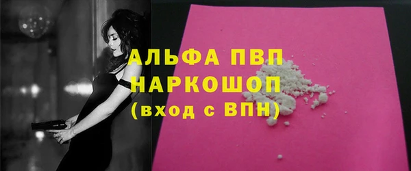 прущие грибы Елабуга