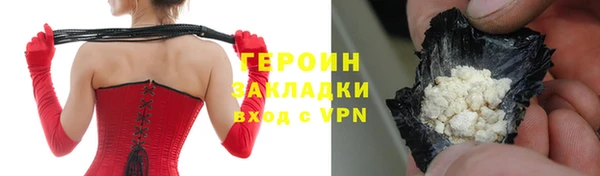 прущие грибы Елабуга
