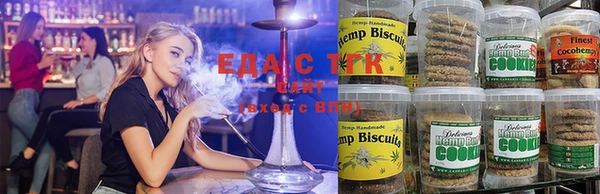прущие грибы Елабуга