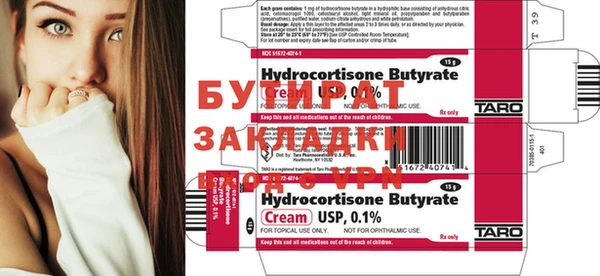 прущие грибы Елабуга