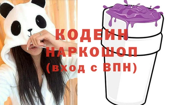 прущие грибы Елабуга