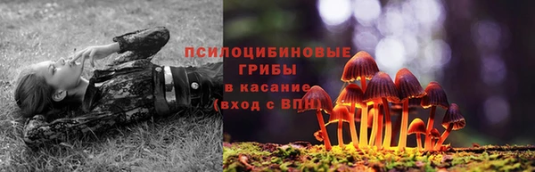 бошки Чердынь