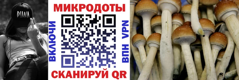 это как зайти  Мосальск  Галлюциногенные грибы прущие грибы  магазин продажи  